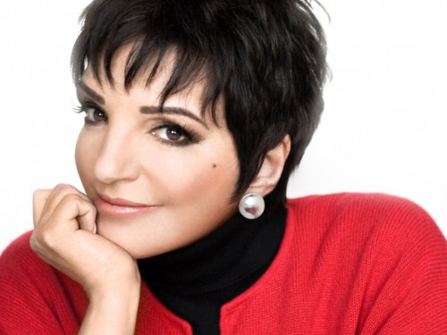 Liza-Minnelli-Superstar-1024x768