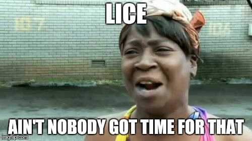 lice