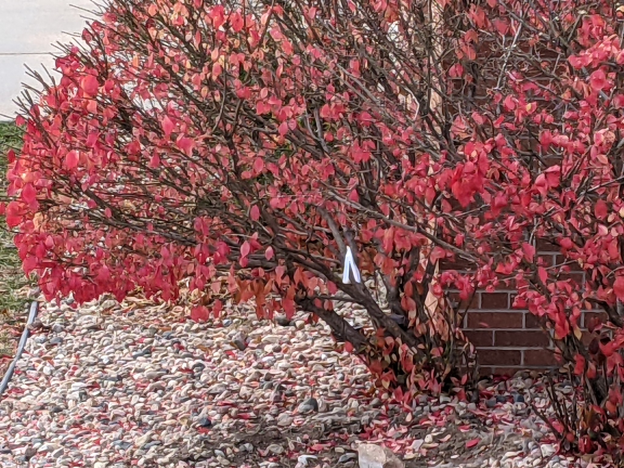 PXL_20211116_220254967.MP_.jpg